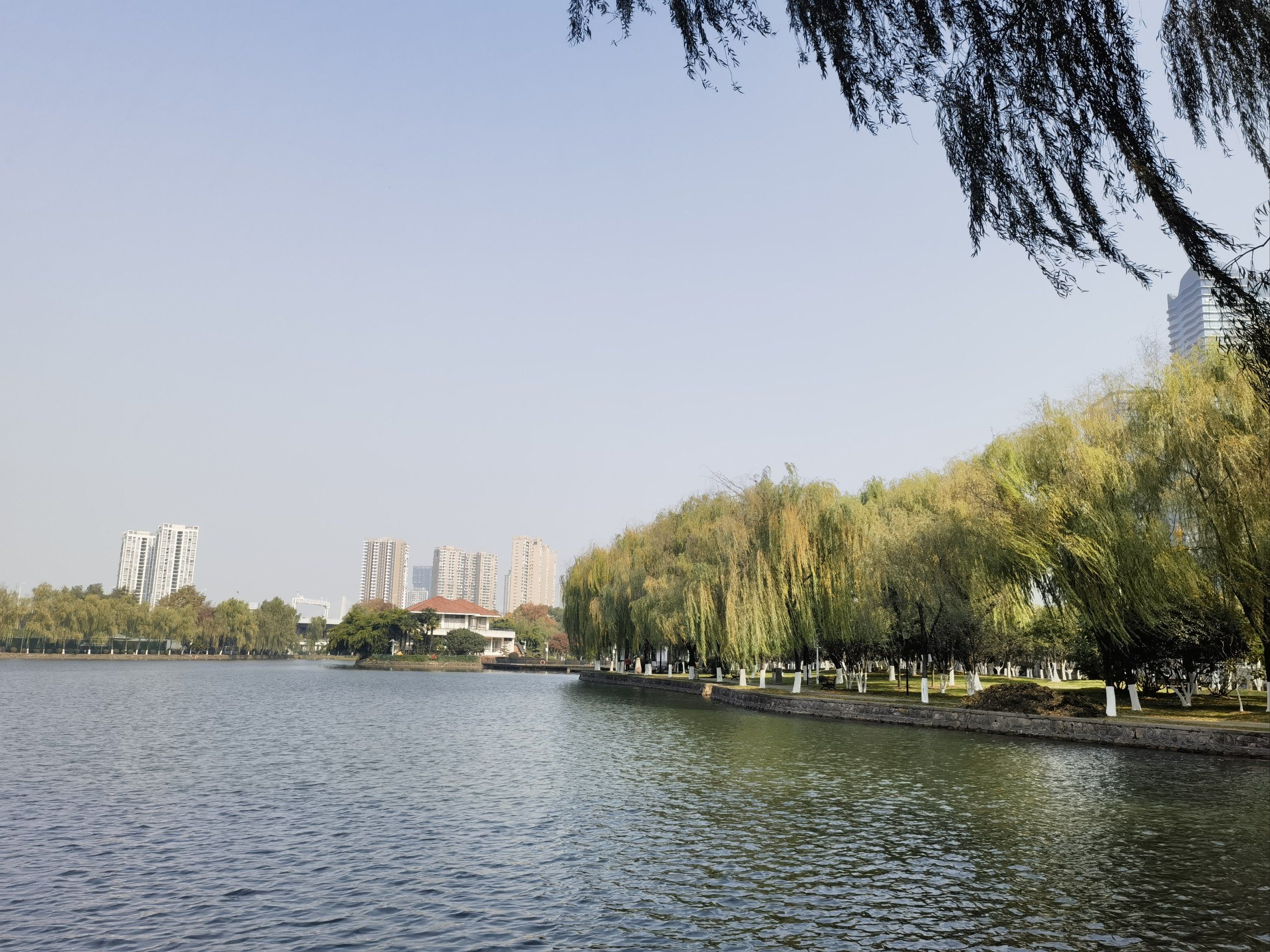 漫步四美塘公园