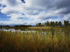 -野鸭湖国家湿地公园