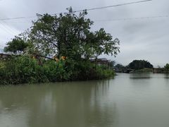 -三垟湿地