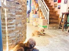 -半坡九号老挝冰咖啡