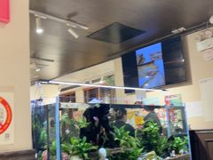 -阿莉餐厅(枣阳路店)