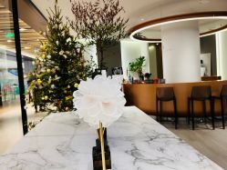 -LB·海菲秀牛奶光官方体验中心