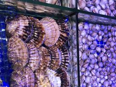 -青蓬蒸汽海鲜·深圳老字号·团建聚会(壹方城店)
