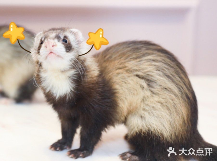 OMG！是心动的六一！