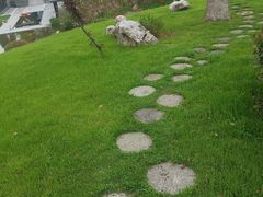 -天目湖涵田半山温泉