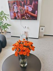 -JNK皮肤管理中心