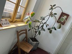 -春风十里咖啡馆