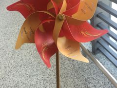 -澳门外港客运码头(轮渡站)