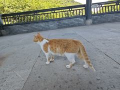 -兰亭风景区