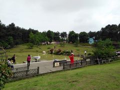 -铁山坪森林公园