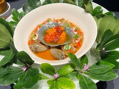 -子福慧(虹桥店)