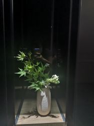 -美壹生诊所皮肤管理中心·海菲秀&Legacy美白舱