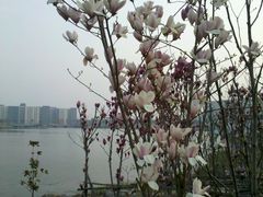 -上海海事大学(临港校区)