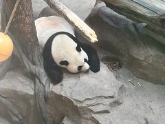 -宁波野生动物园