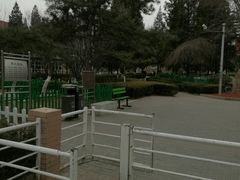 -双榆树公园