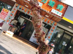 -新疆阿力烧烤