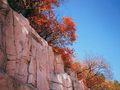 -北京西山国家森林公园