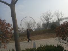 -琴岛之星摩天轮