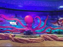 -青岛嘉年华主题乐园