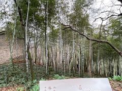 -永泉忆江南12景区