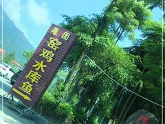 -罗浮山·罗园农庄