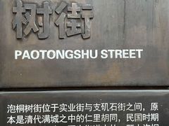 -泡桐树街
