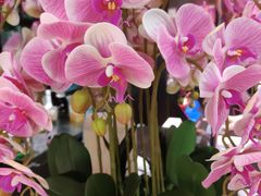 -望蓉城·古法酸菜鱼(世纪汇店)