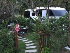 -崇明东平国家森林公园烧烤房车露营地