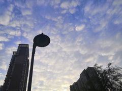 -西安浐灞国家湿地公园