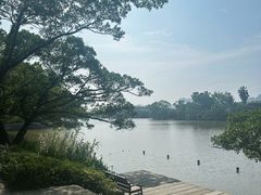 -江心屿景区