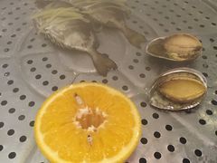 -阿锋鲍鱼酒家美食汇(华安店)