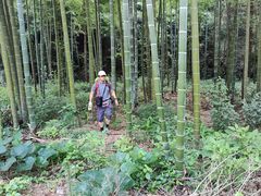 -井冈山风景名胜区