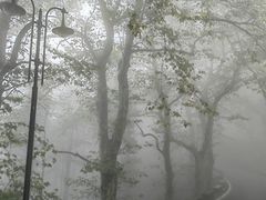 -莫干山风景区