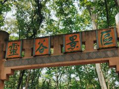 -灵谷景区