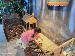 -酷嗒动物文化乐园(cutezoo西溪乐天城店)