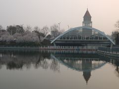 -聚龙湖公园