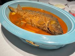 -阿五黄河大鲤鱼(英协路店)