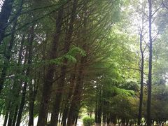 -白塘生态植物园