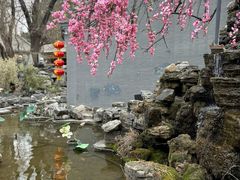 -白家大院·王府宫廷菜(苏州街店)
