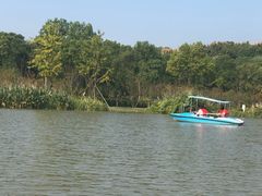 -昆山城市生态森林公园