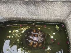 -生宇山珍野生菌汤锅•始于1999(双流古塔店)