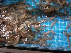 -星伦多自助料理(江阴万达店)