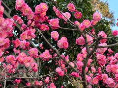 -岳王庙