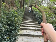 -火炉山森林公园