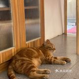 广州探店｜停车不方便但很舒服的社区咖啡店