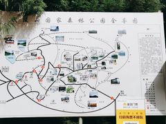 -武陵山森林公园