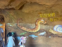 -杭州湾海上花田景区