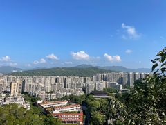 -福道