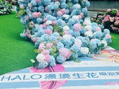 -HALO广场(梨园路店)
