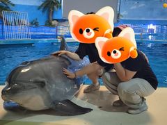 -泉城欧乐堡海洋极地世界
